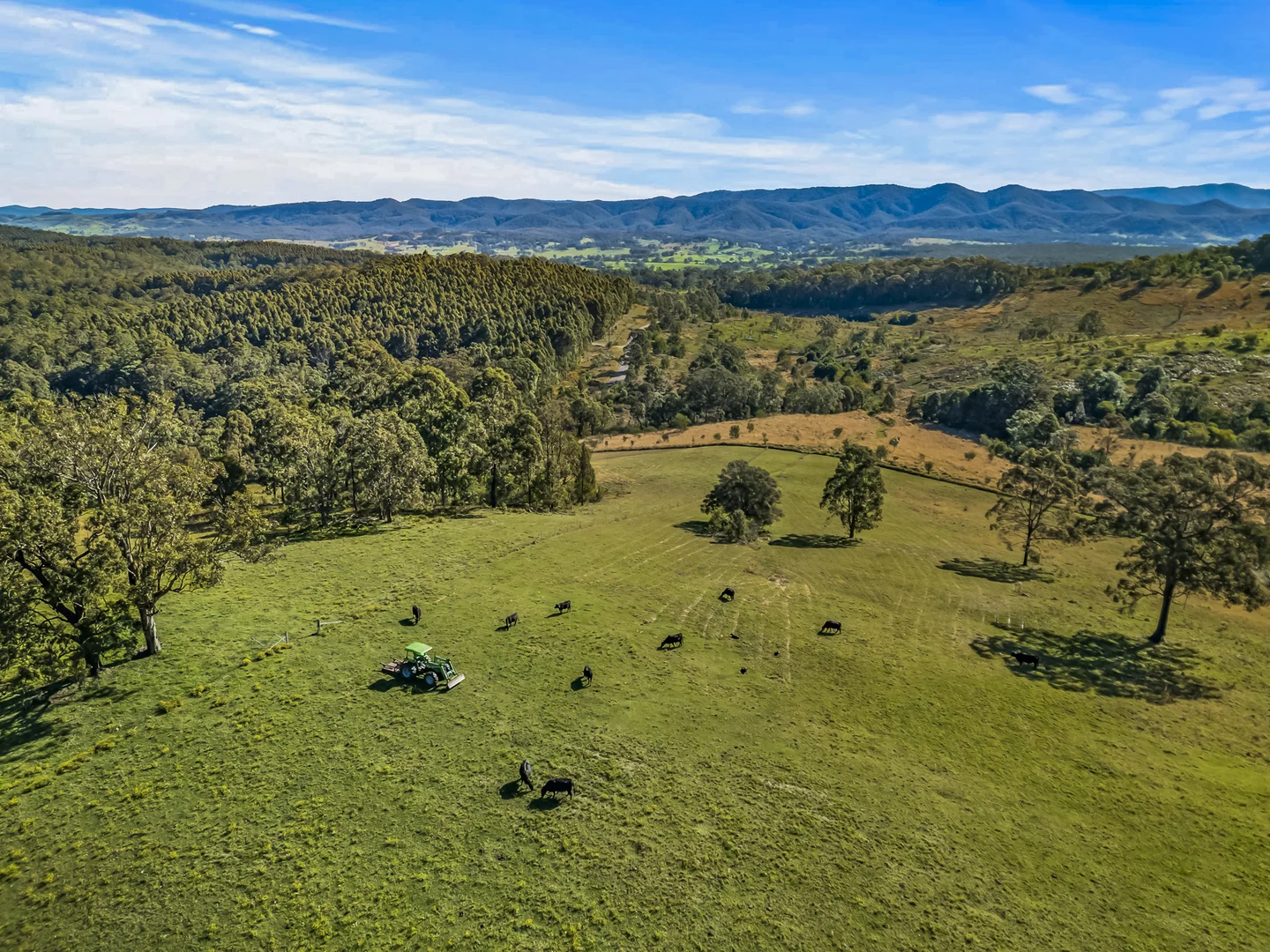 Additional image 15 of 345 Glen Road, Craven NSW 2422