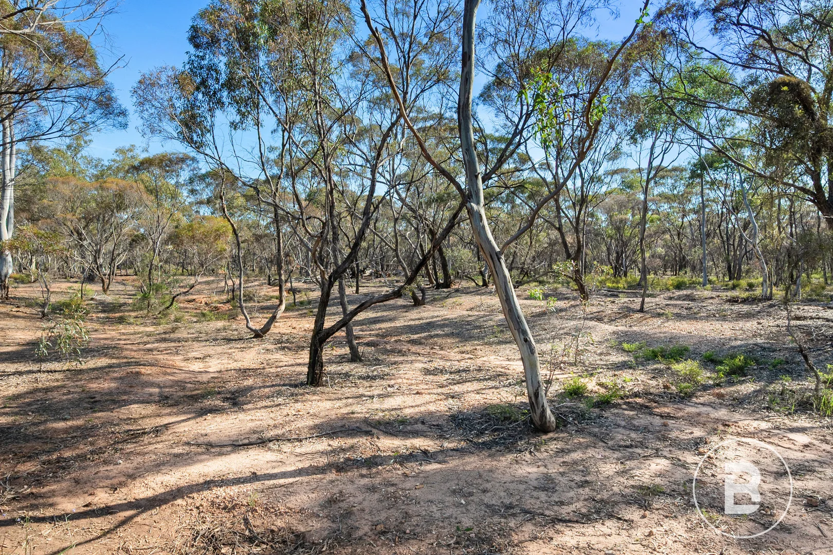 Additional image 3 of CA 127E McDonald Road, Llanelly VIC 3551