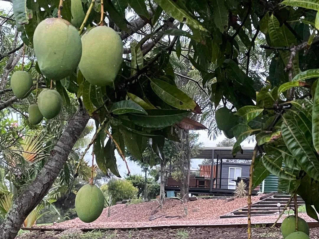 Additional image 17 of 68 Myleema Road, Woodford QLD 4514