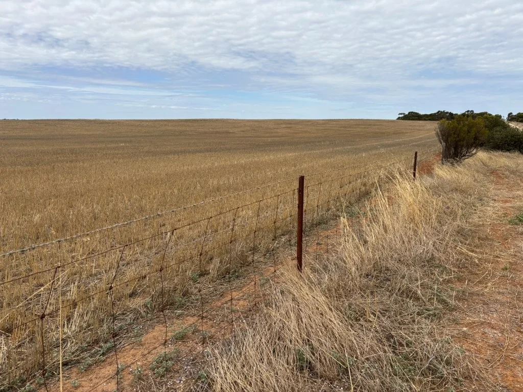 Additional image 15 of 9723 Tod Highway, Lock SA 5633