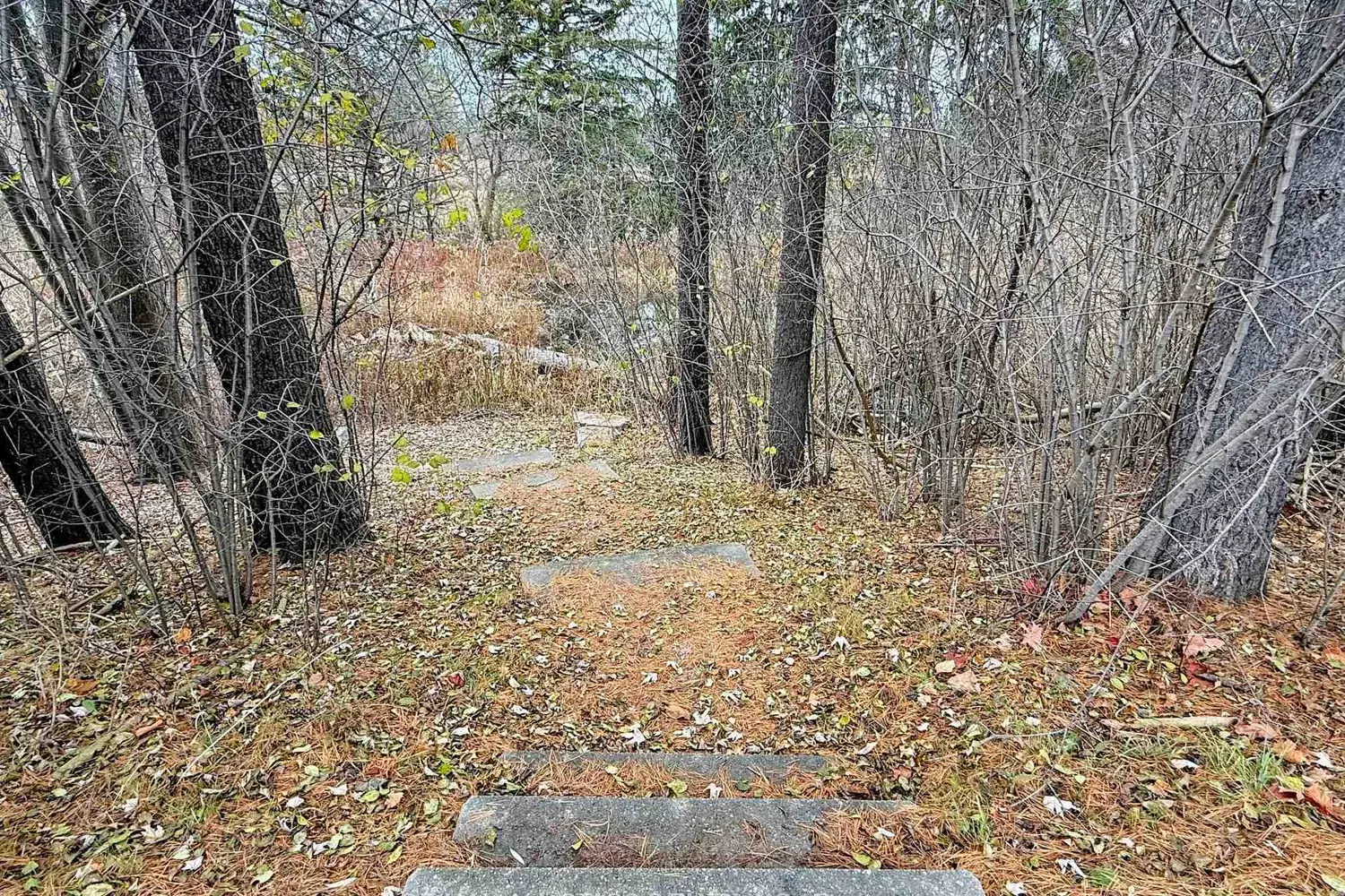 Additional image 17 of 2 Yorkton Boulevard