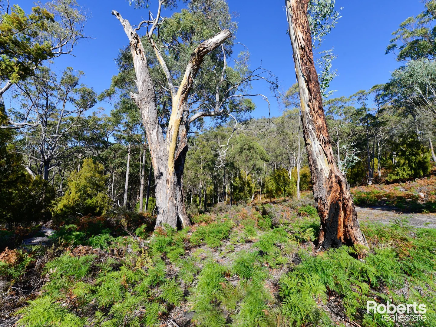 Additional image 11 of Fentonbury TAS 7140