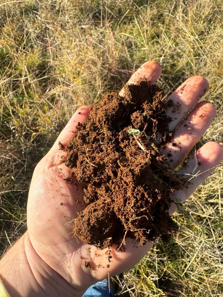 Additional image 2 of Part "Quamby" 605 Mccaskies Lane, Girral NSW 2669