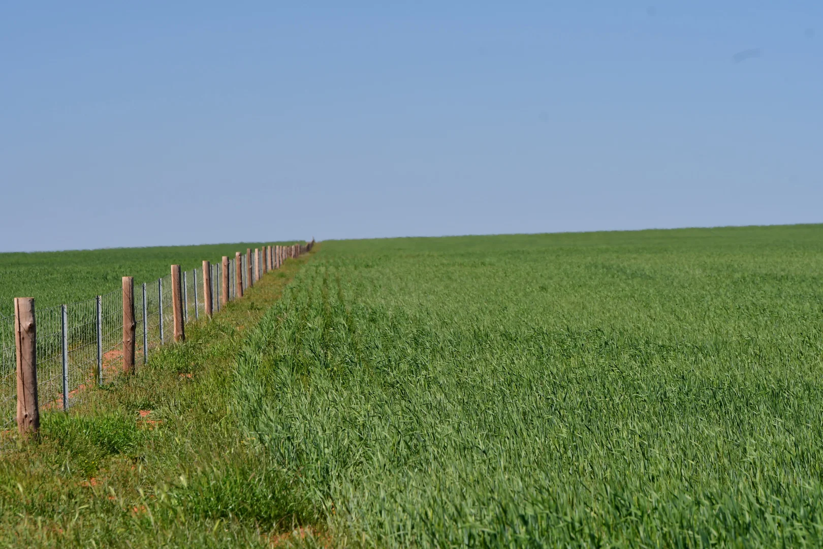 Additional image 9 of 26 Amyton Road, Willowie SA 5431