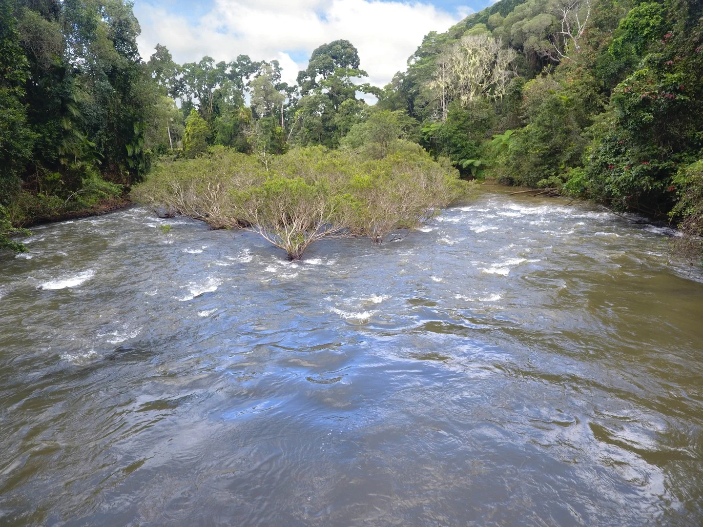 Additional image 3 of RN928 Glen Allyn Rd, Malanda QLD 4885