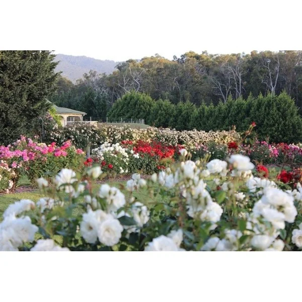 Additional image 17 of 77 HEALESVILLE-KOO WEE RUP, Healesville VIC 3777