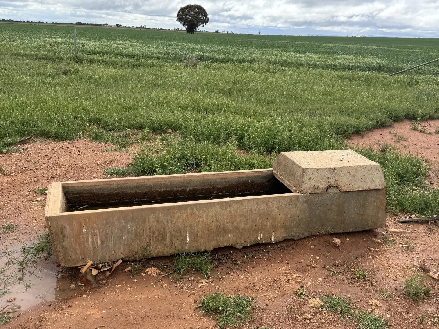 Additional image 12 of 434 Schmidt Road, Willowie SA 5431