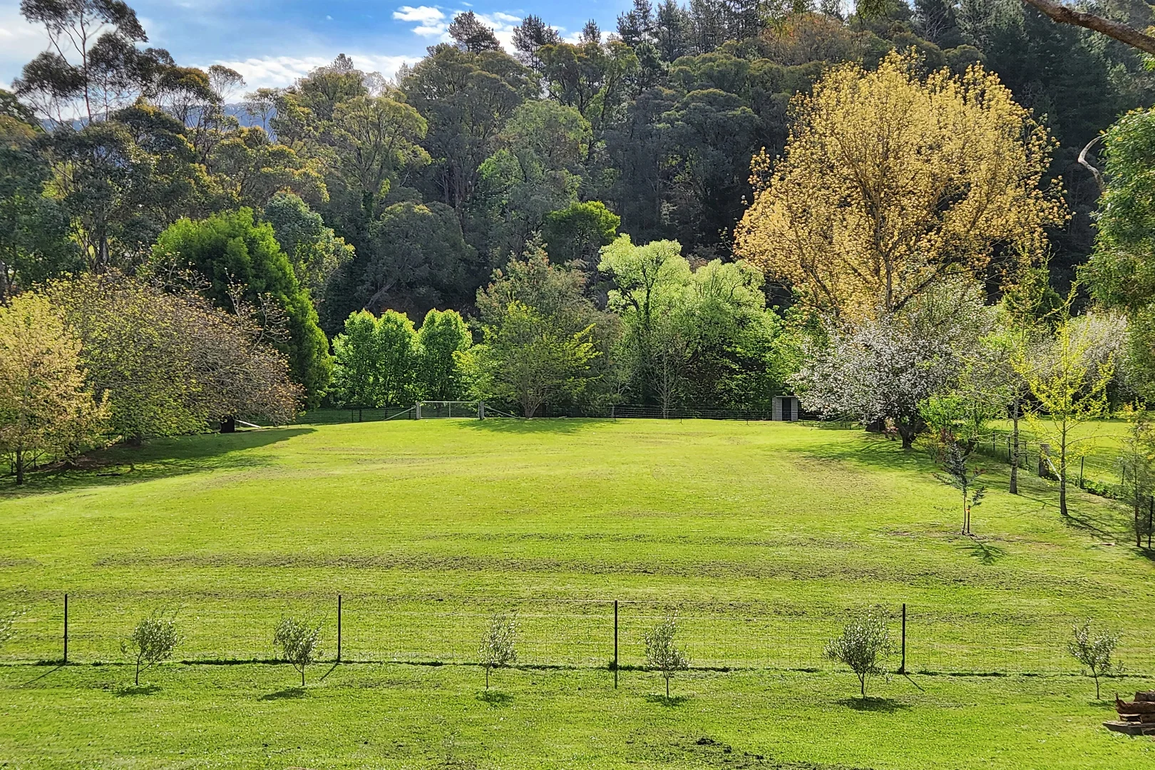 Additional image 13 of 83 Jamieson-Licola Road, Jamieson VIC 3723