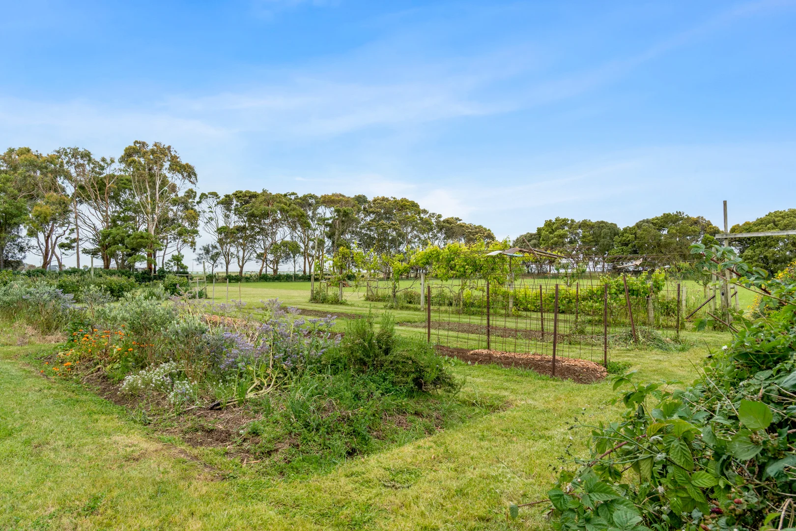 Additional image 34 of 21 Tuddys Lane, Southern Cross VIC 3283