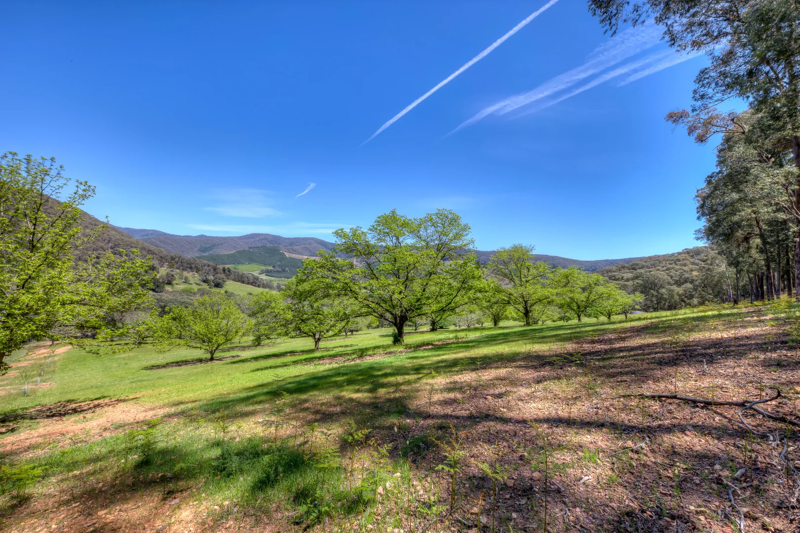 Additional image 12 of CA 34C Tobias Track, Wandiligong VIC 3744