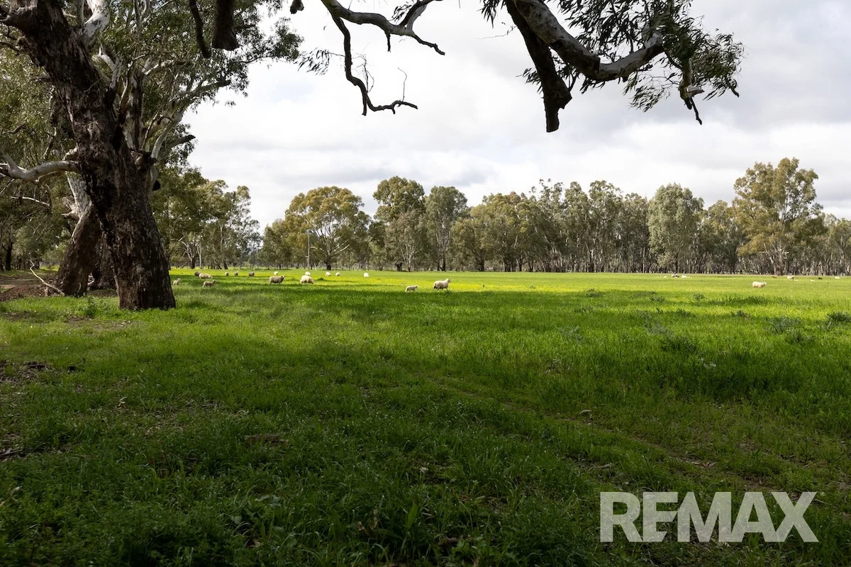 Additional image 19 of 192 Roach Road, Moorong NSW 2650