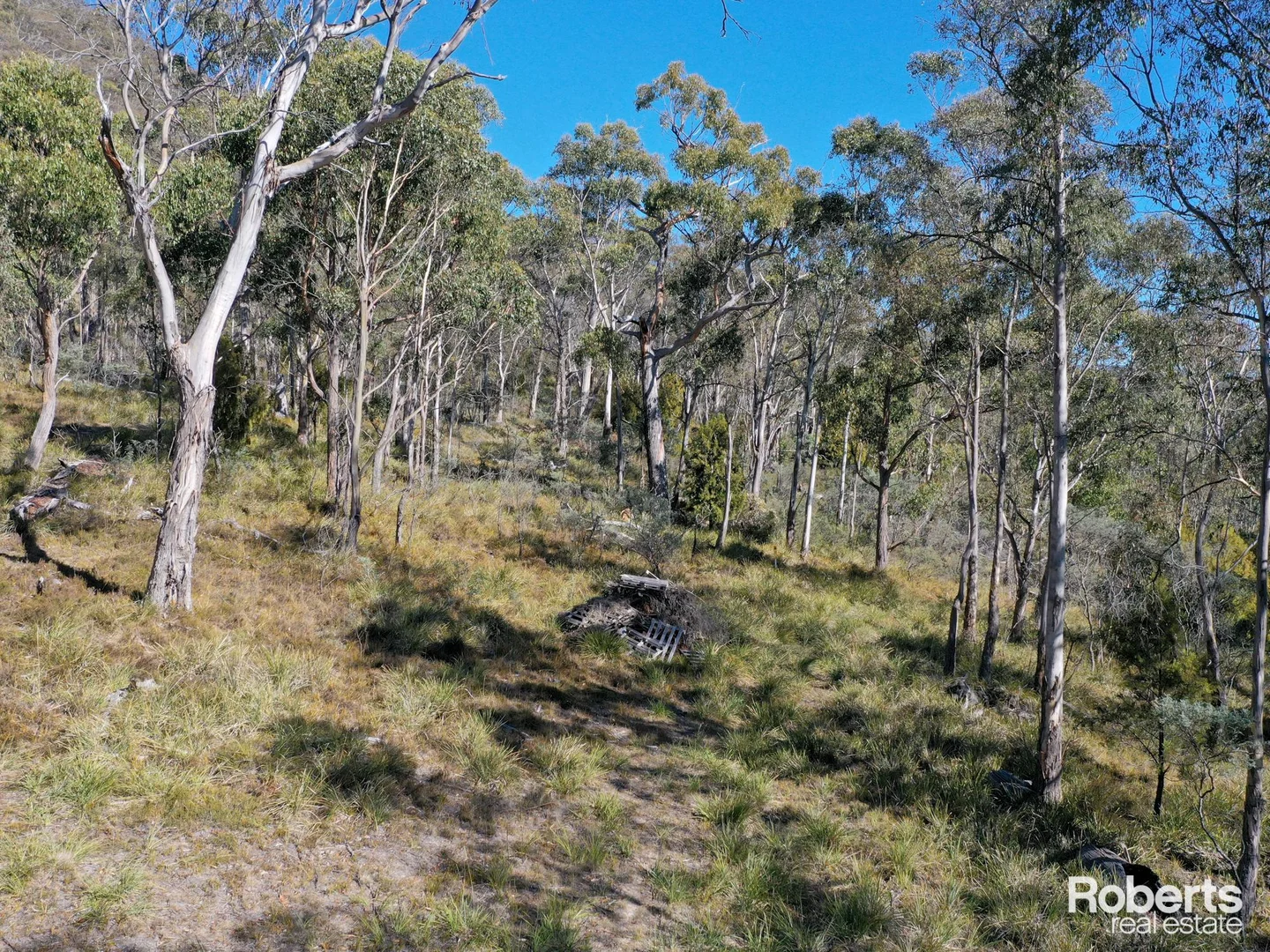 Additional image 19 of Fentonbury TAS 7140