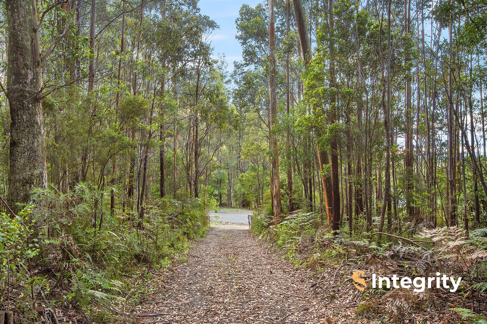 Additional image 4 of 111 Deviation Road, Kinglake Central VIC 3757