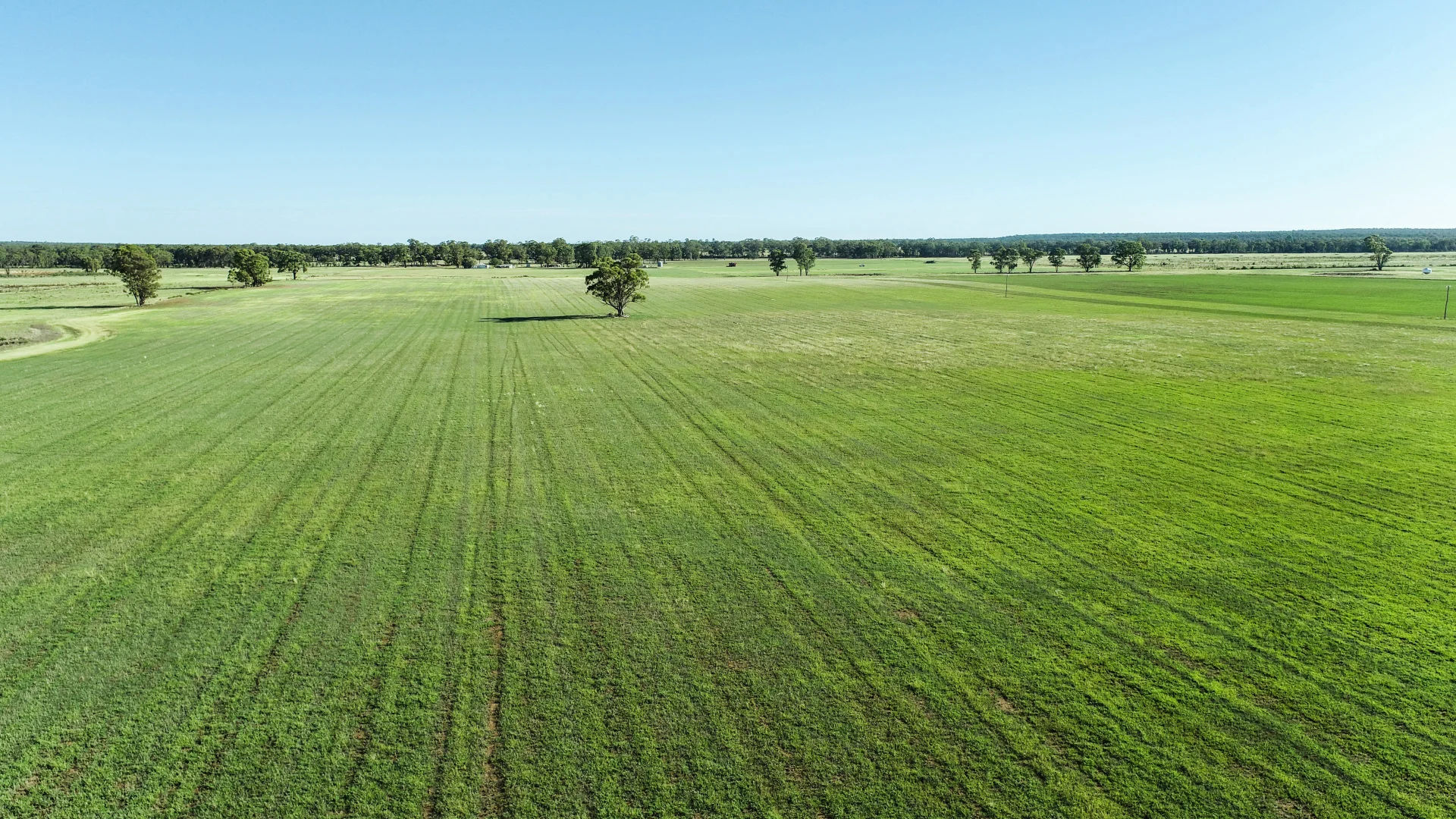 Additional image 12 of 150R Mogriguy Forest Road, Dubbo NSW 2830