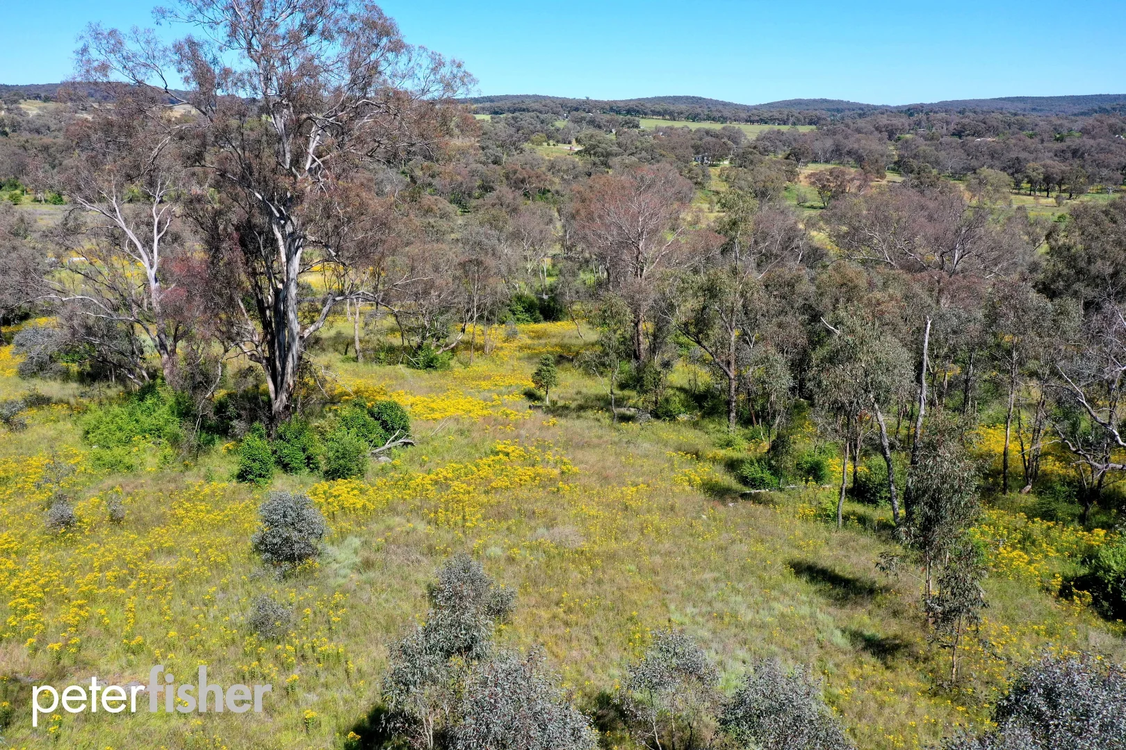 Additional image 4 of Lot 102/Hill Street (Part of 24 Queen Street), Molong NSW 2866