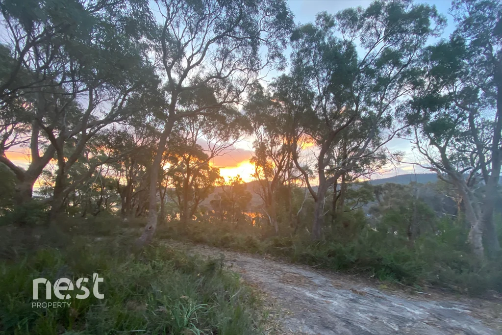Additional image 19 of 156B Apex Point Road, White Beach TAS 7184