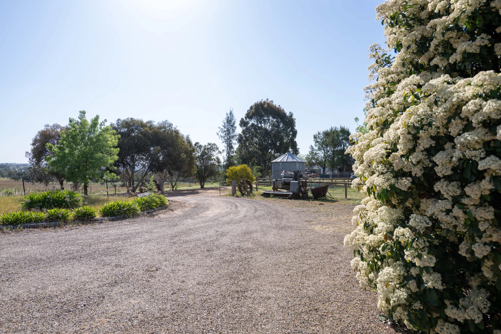 Additional image 24 of 251 Pattersons Lane, Young NSW 2594