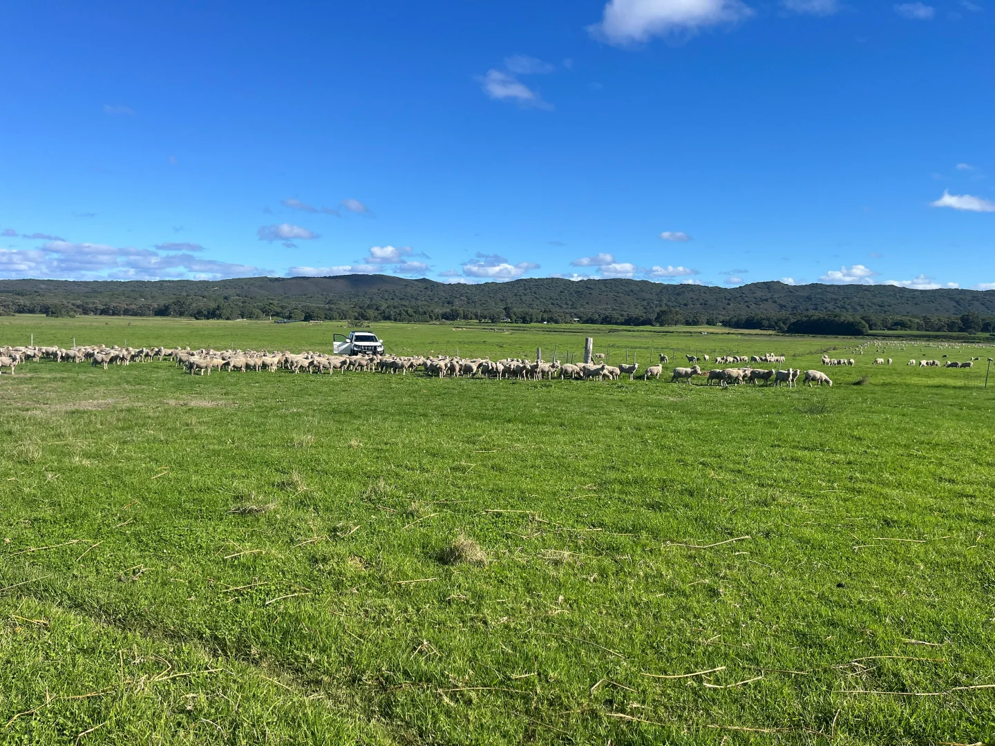 Additional image 17 of 181 Francis Road, Lowlands WA 6330