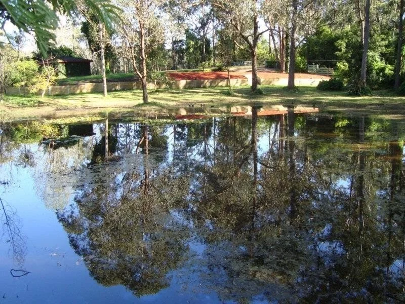 Additional image 18 of 35-39 Sproxton Lane, Nelligen NSW 2536