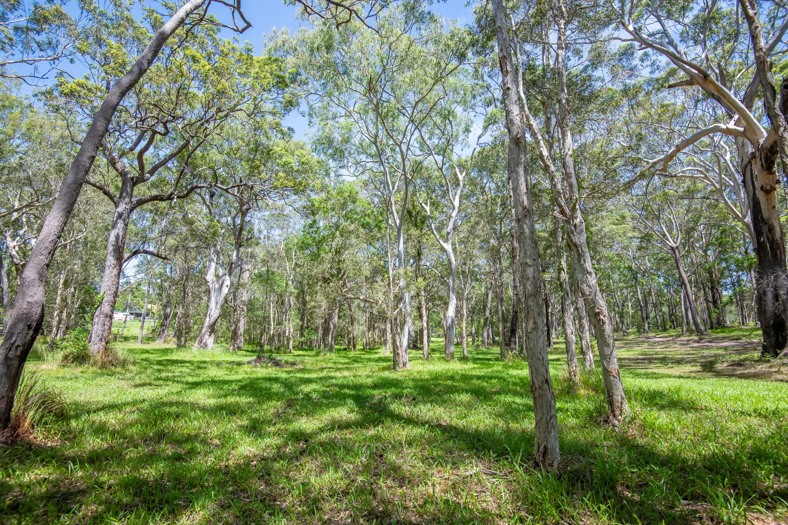 Additional image 21 of 31 Whitton Pl, Mullaway NSW 2456