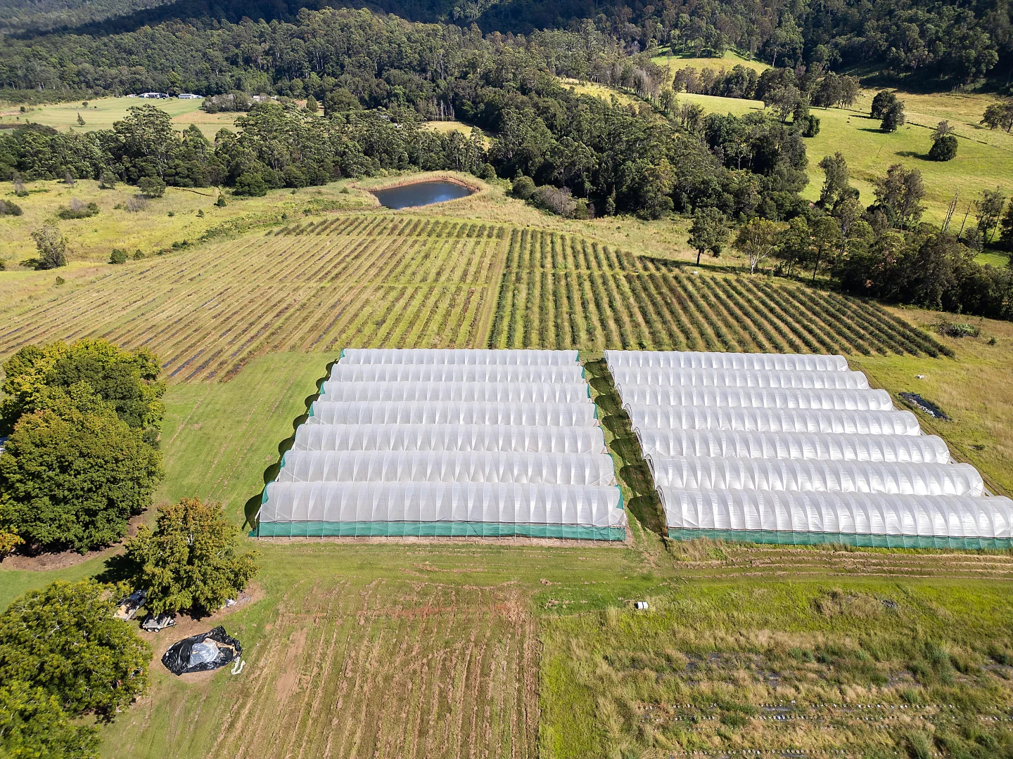 Additional image 6 of 26 Timber Top Road, Glenreagh NSW 2450