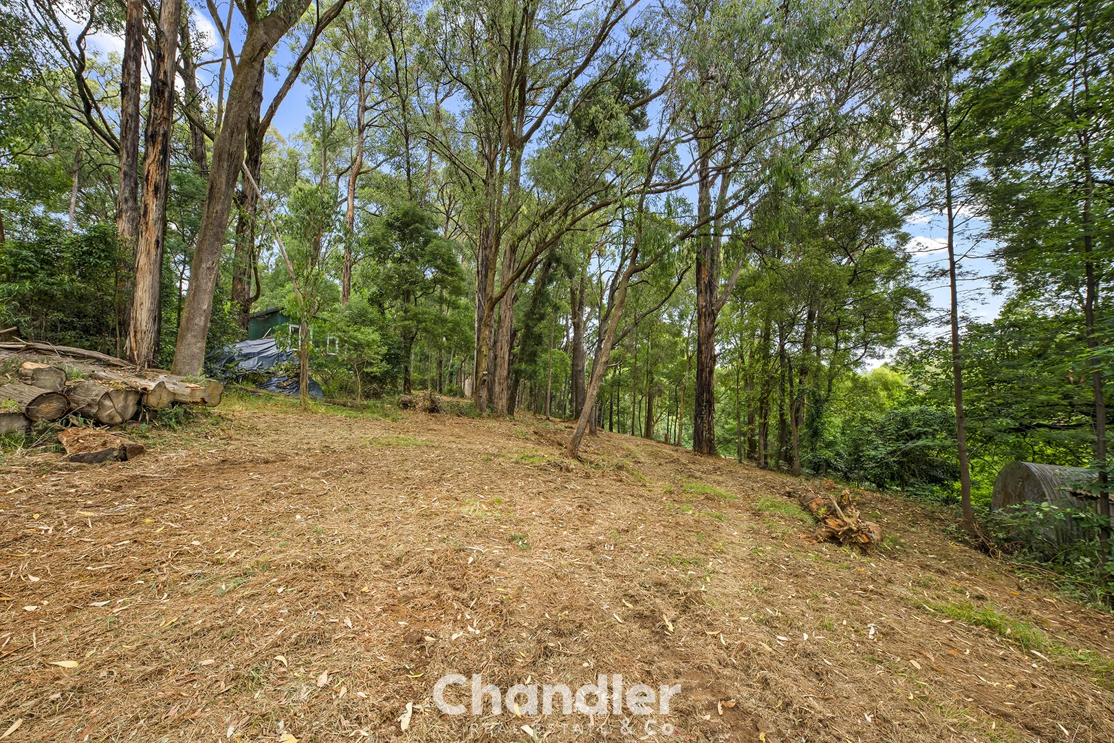 Additional image 6 of 75 Priors Road, The Patch VIC 3792