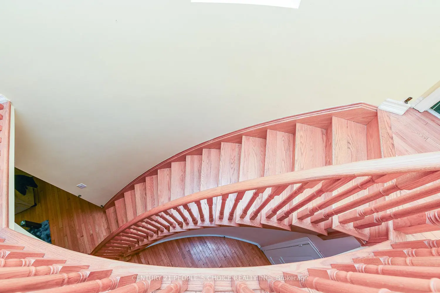 Additional image 14 of 50 Severin Street