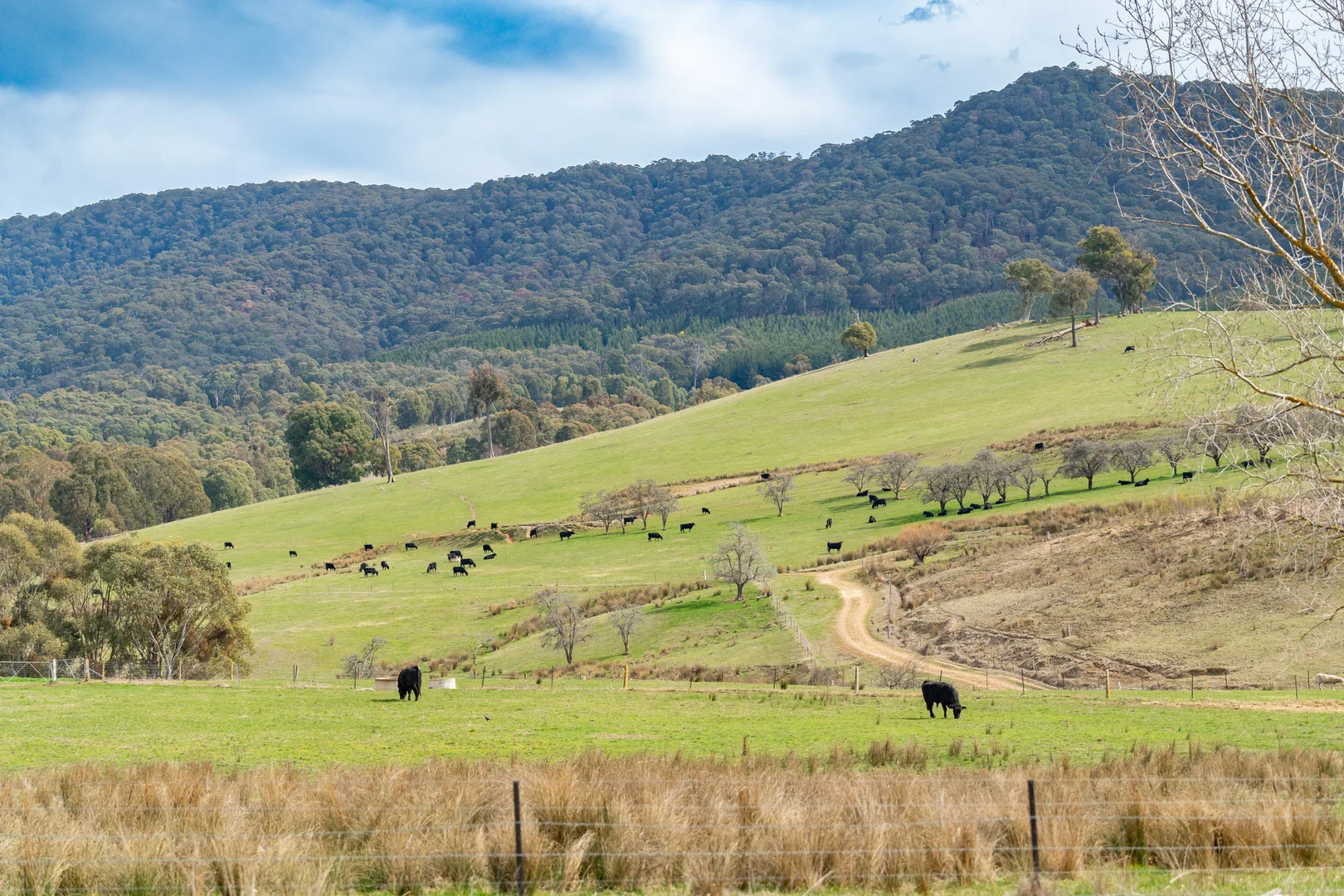 Additional image 13 of 130 Martin Lane, Yackandandah VIC 3749