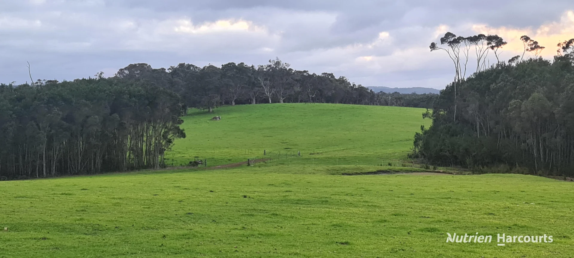 Additional image 17 of 526 Board Road, Kordabup WA 6333