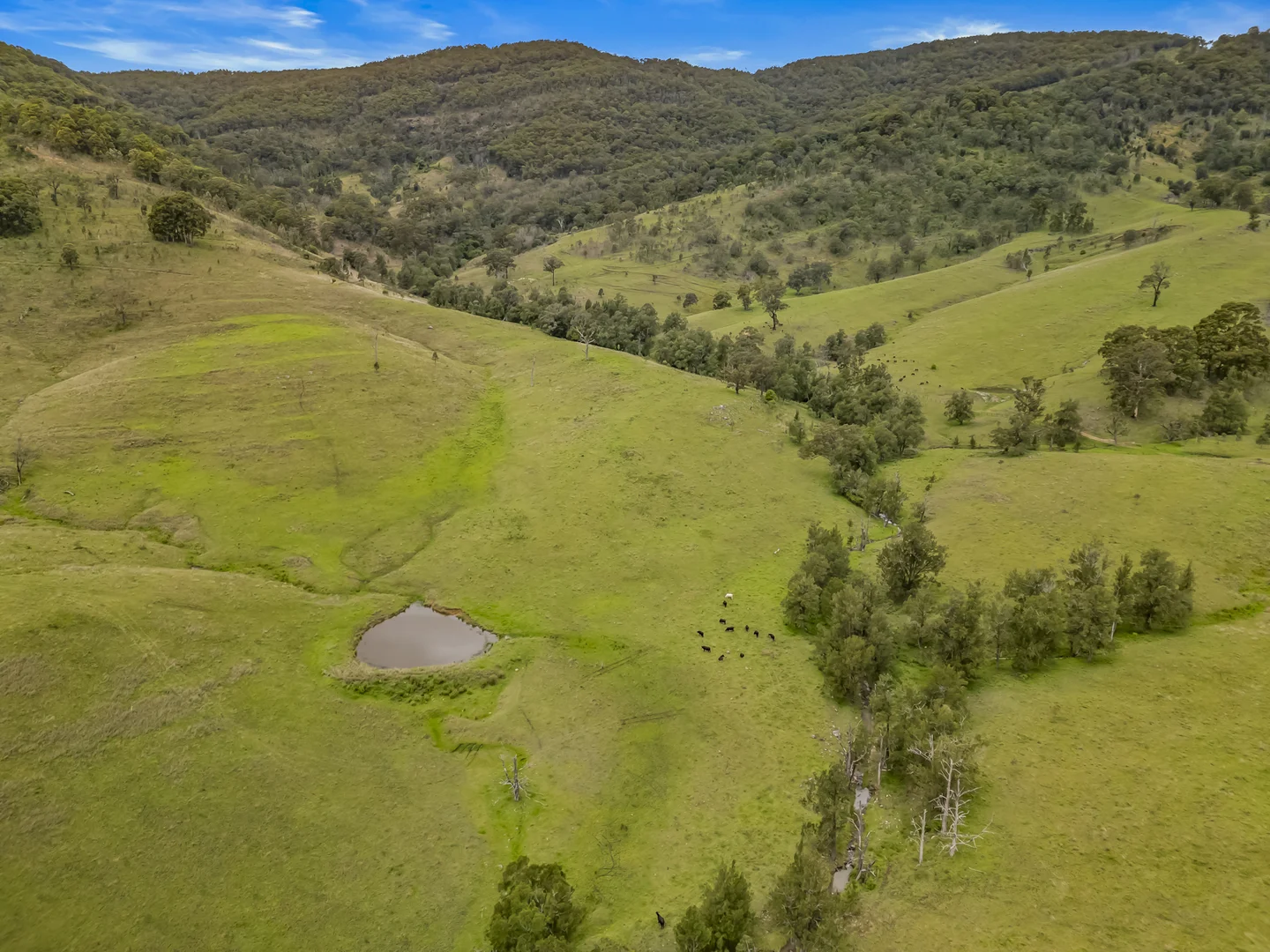 Additional image 6 of Carrowbrook Road Mount Olive, Singleton NSW 2330