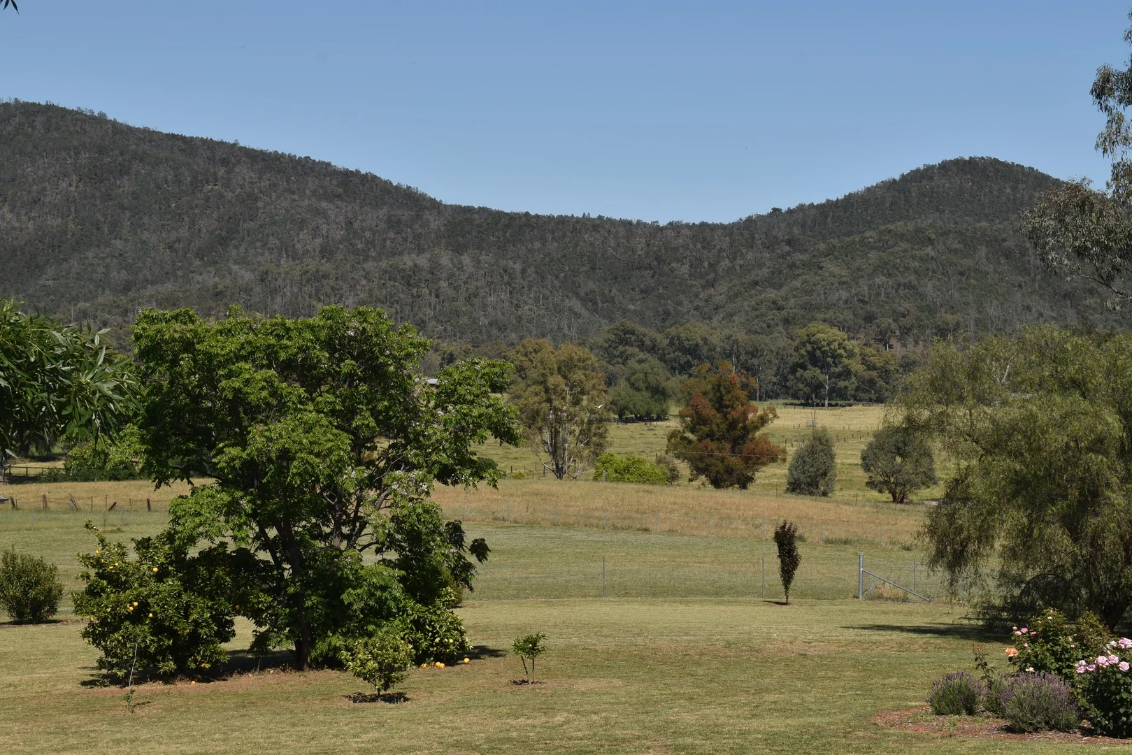 Additional image 4 of 7 Pindari Grove, Montefiores NSW 2820