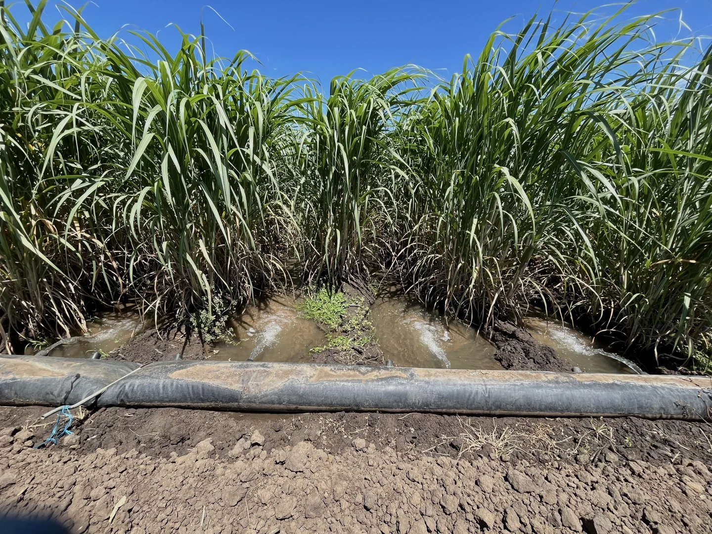 Additional image 12 of 218 Oats Road, Fredericksfield QLD 4806