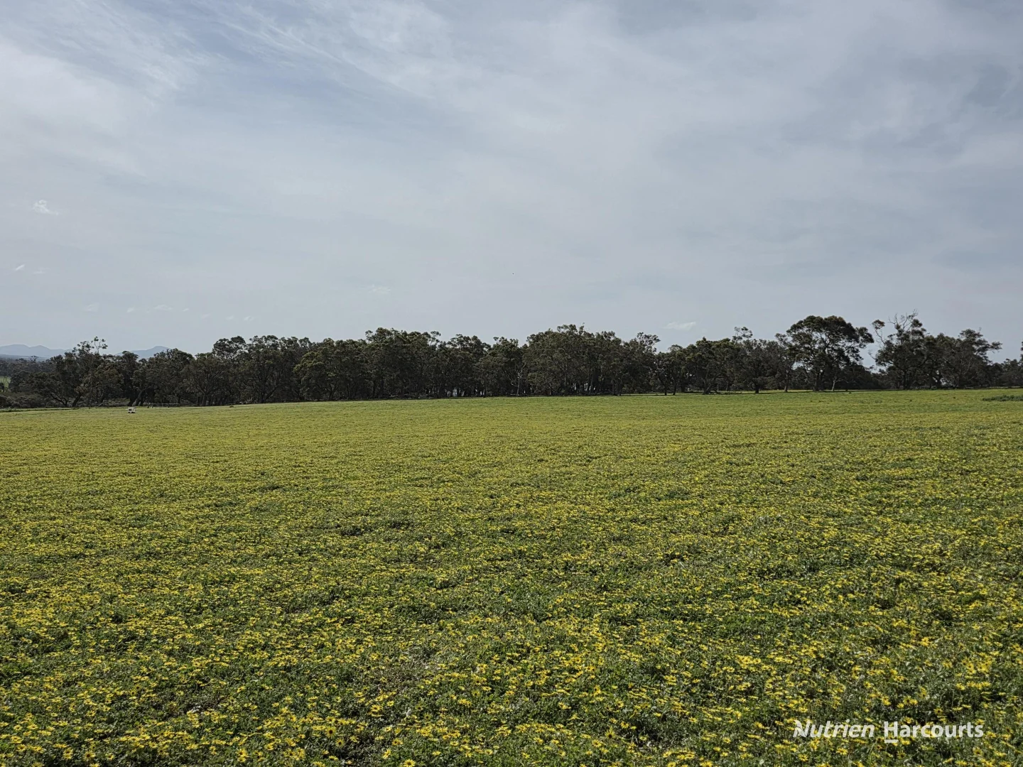 Additional image 59 of 4038 & 4184 Chesterpass Road, Takalarup WA 6324