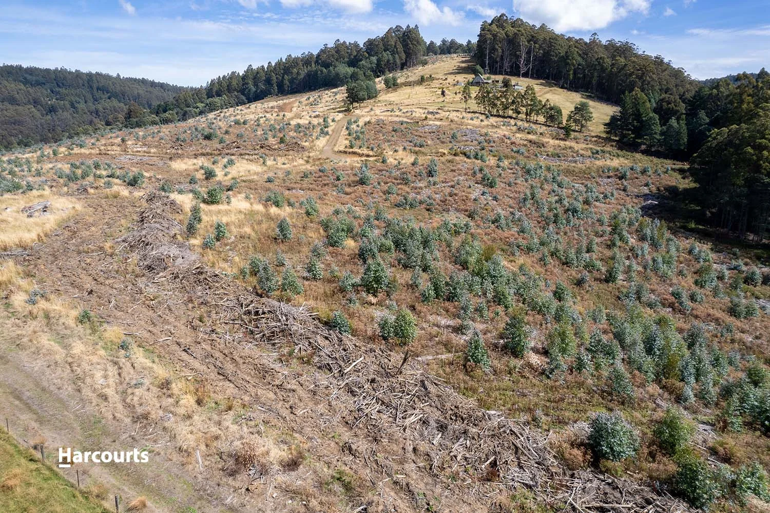 Additional image 4 of Lot 10 Paddys Lane, Franklin TAS 7113