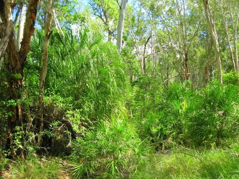 Additional image 4 of Captain Creek QLD 4677