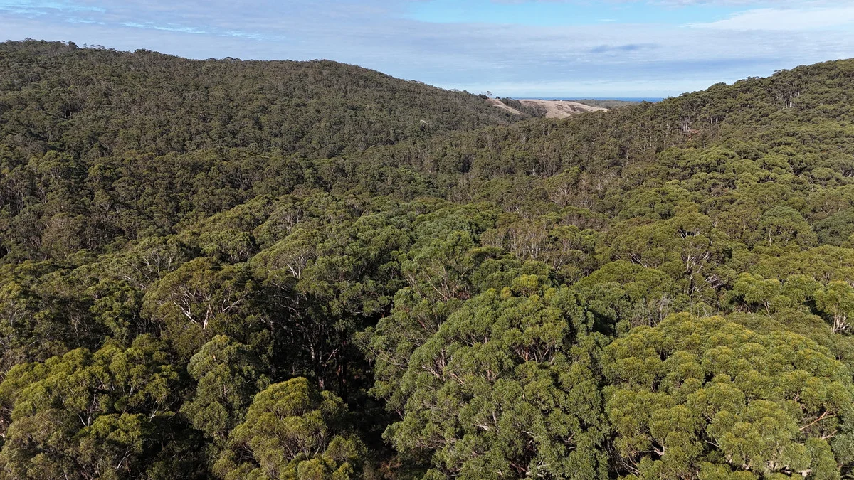 Additional image 17 of 318 Old Ocean Road, Glenaire VIC 3238