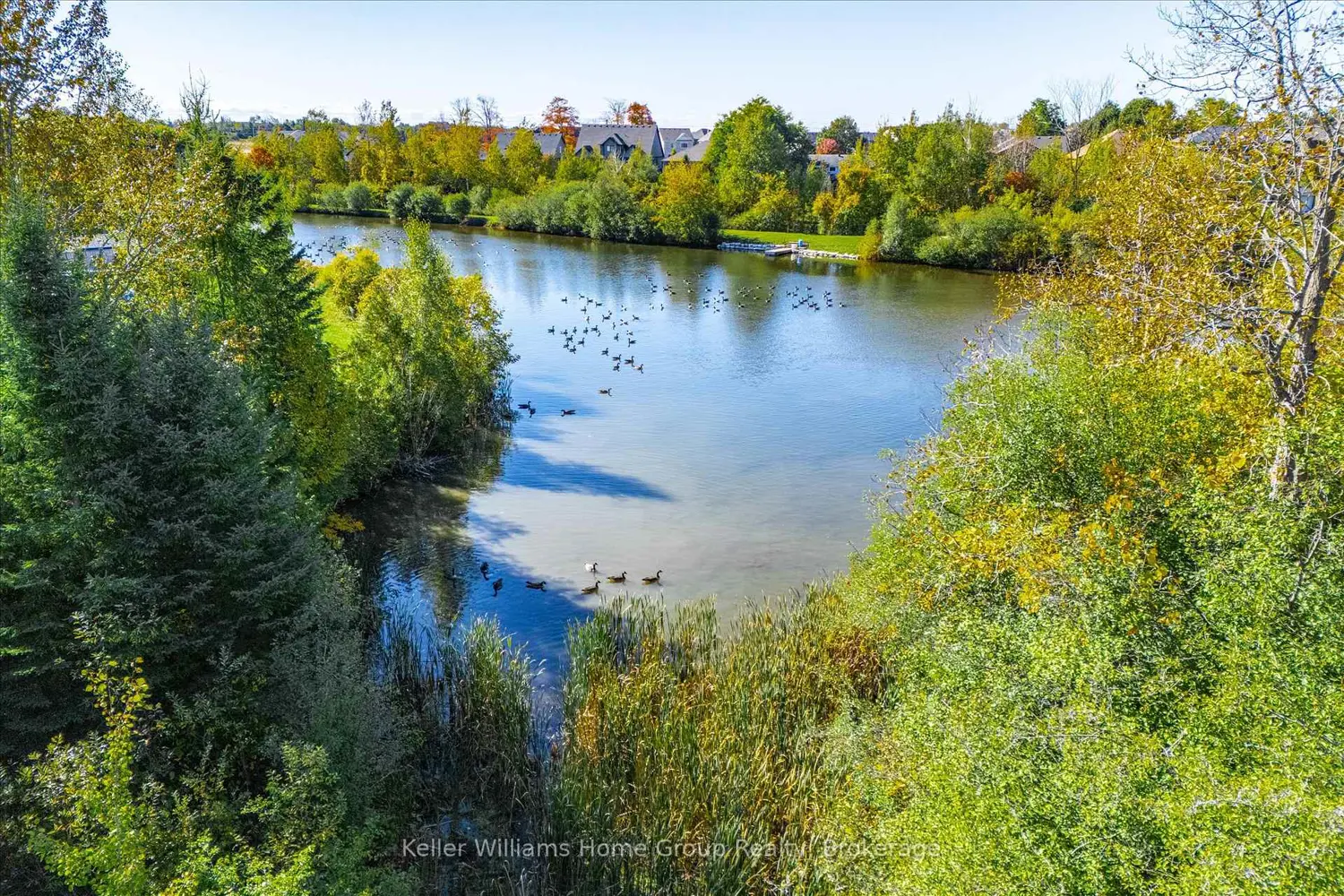 Additional image 17 of 568 Black Street