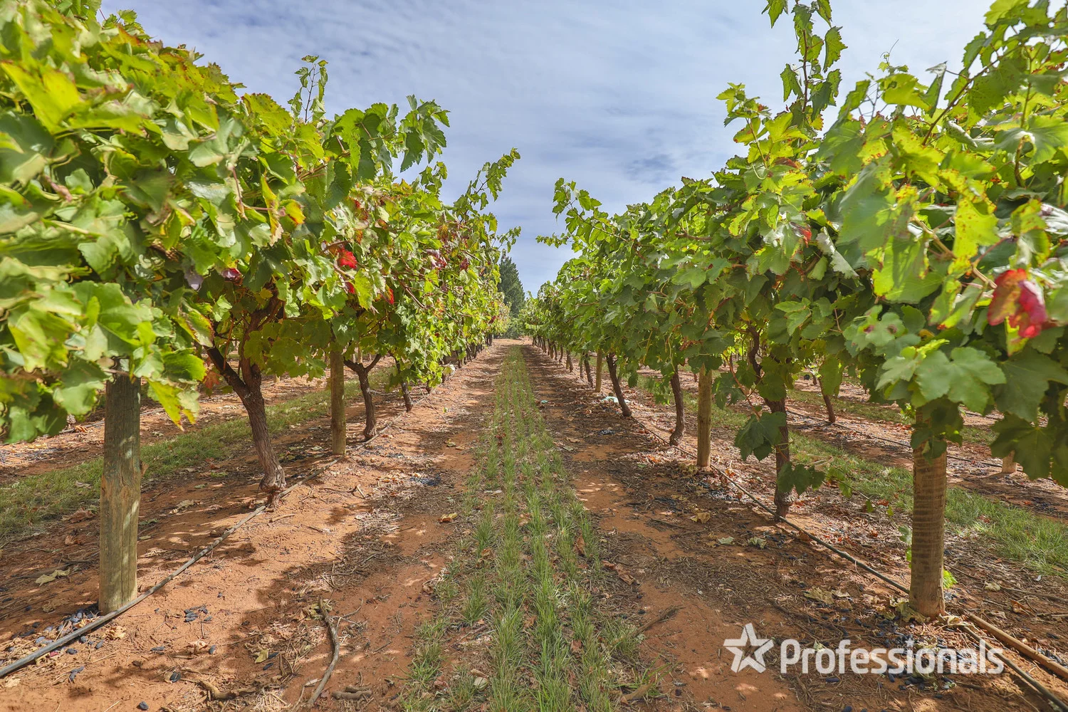 Additional image 6 of 83a Belar Avenue Extension, Irymple VIC 3498