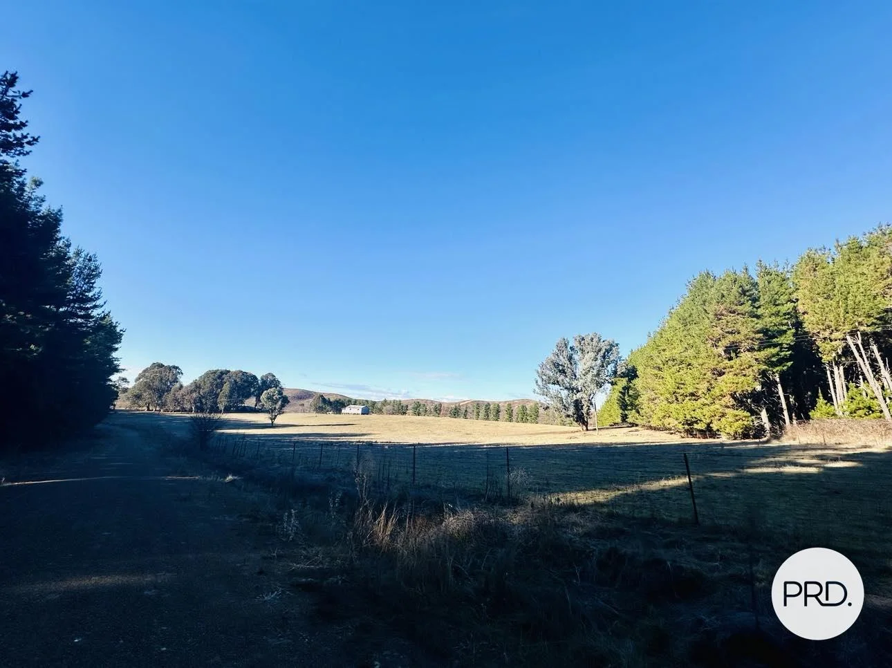 Additional image 31 of 233 Logans Road, Tumbarumba NSW 2653