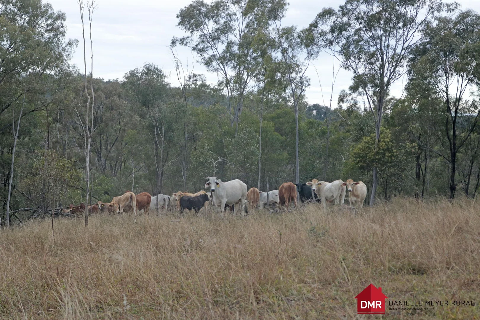 Additional image 29 of Lot 33-35 Bilboolan Road, Eidsvold QLD 4627