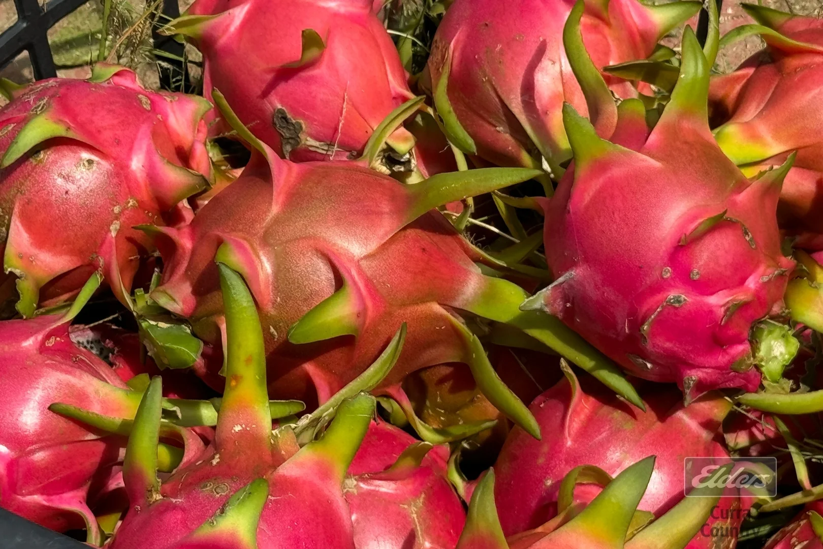 Additional image 16 of 288 Blowers Road, Munna Creek QLD 4570