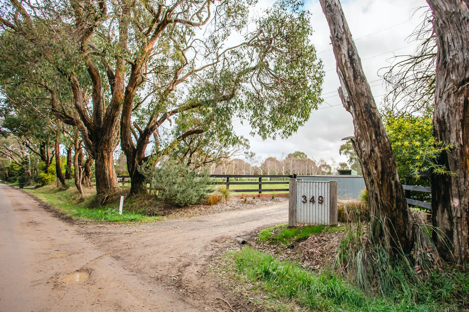 Additional image 24 of 349 Stumpy Gully Road, Balnarring VIC 3926
