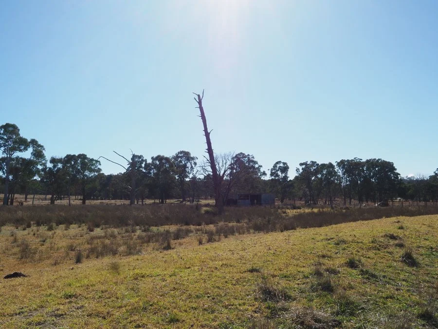 Additional image 4 of Torrington Road, Stannum NSW 2371