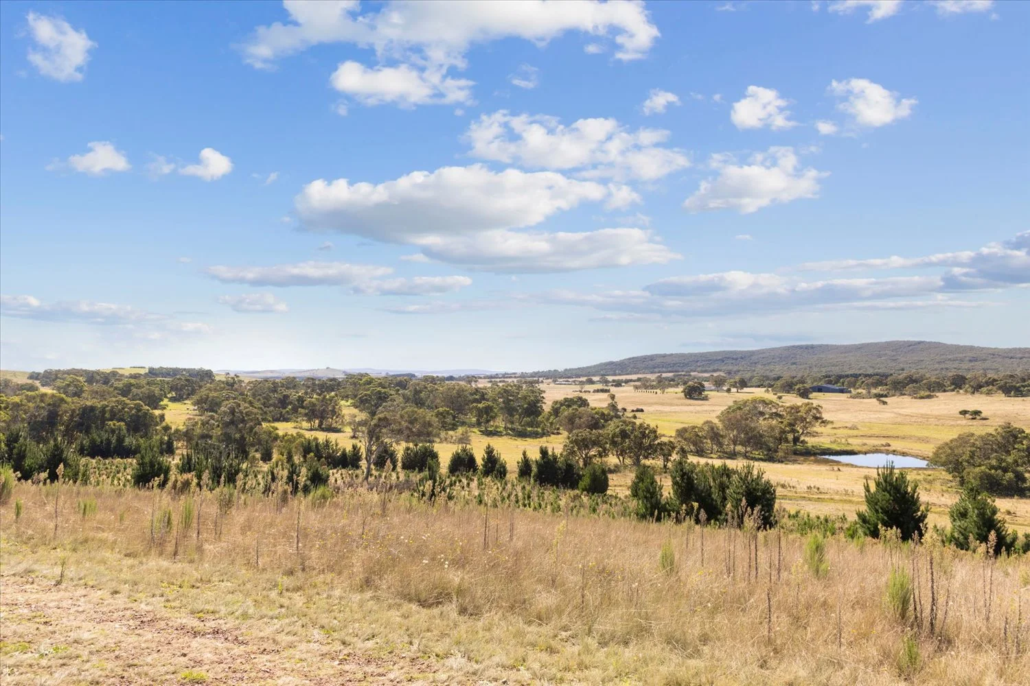 Additional image 33 of 134 Lakeview Road, Tarago NSW 2580