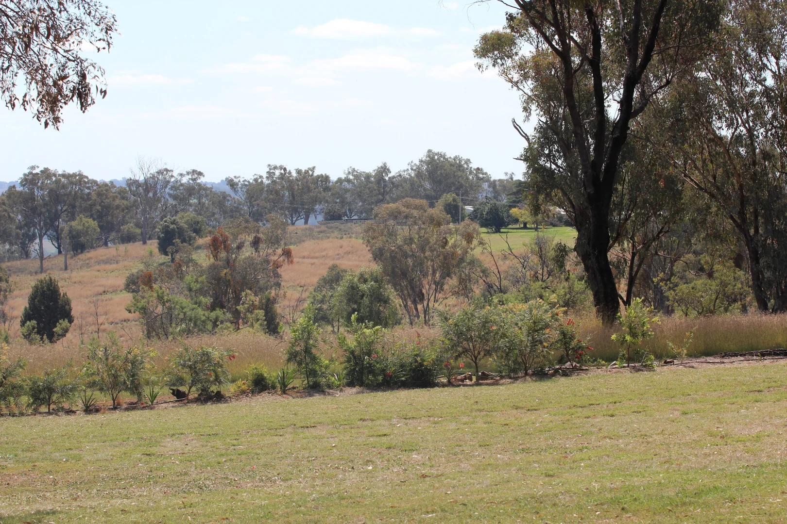Additional image 35 of 372 Swanbrook Rd, Inverell NSW 2360