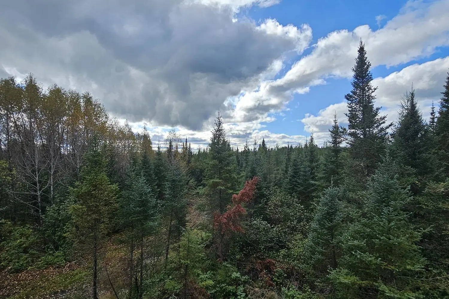 Additional image 5 of 320 Mcnee Road