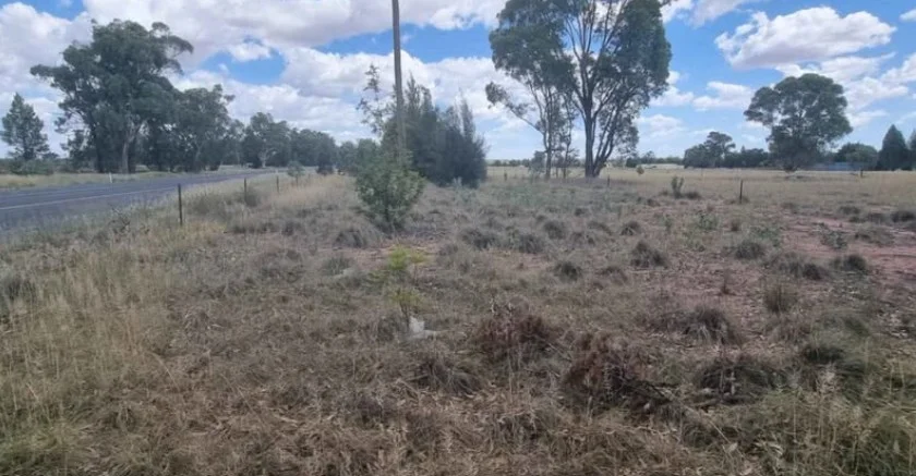 Additional image 11 of 9 Everton Road, Gilgandra NSW 2827