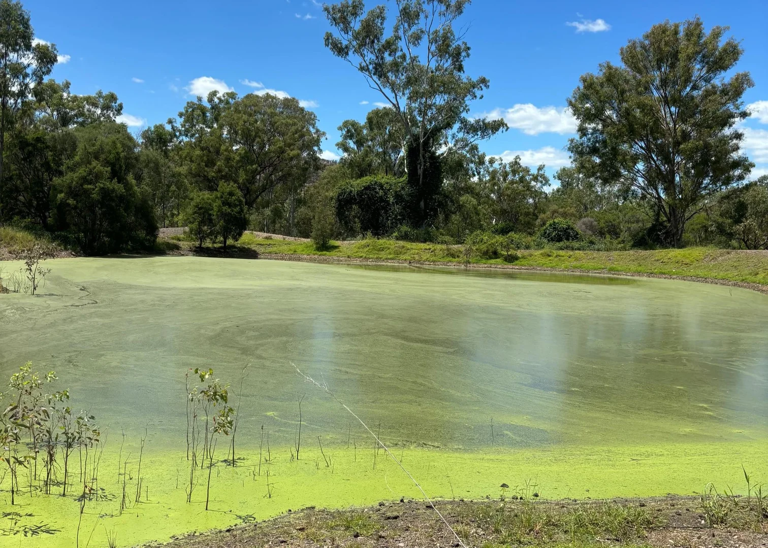 Additional image 12 of L52 Campbell Creek Road, Campbell Creek, Gayndah QLD 4625