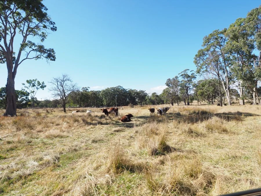 Additional image 5 of Torrington Road, Stannum NSW 2371
