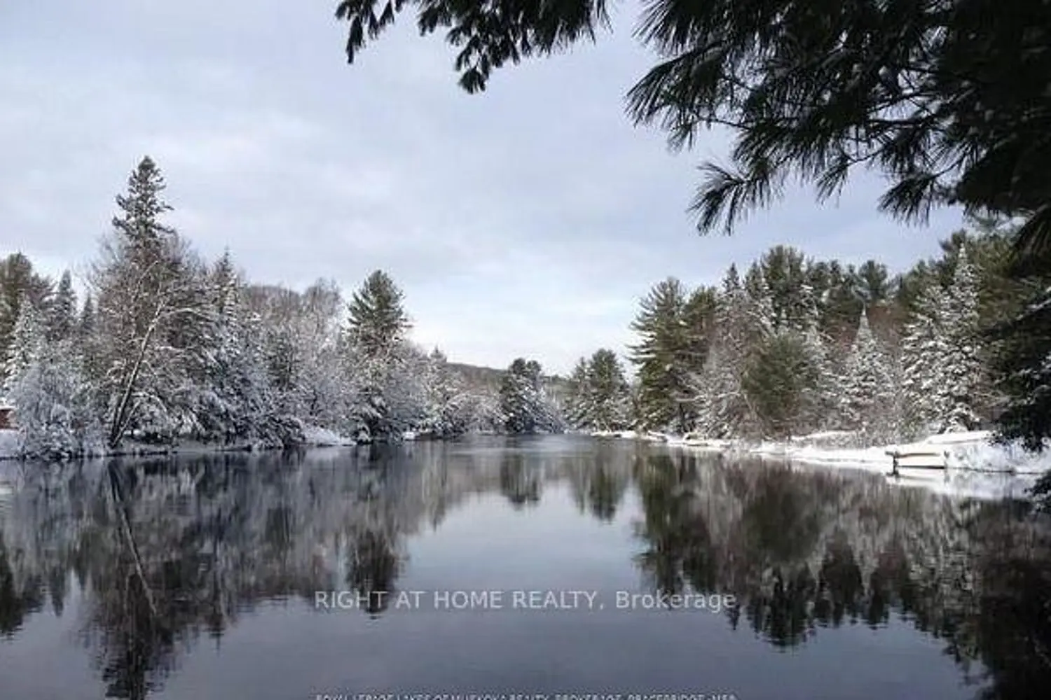 Additional image 9 of 1019 Forrester Trail